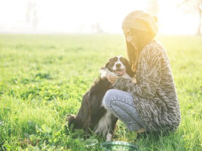 伊丹空港内に国内空港初となる 「愛犬専用トイレ」を設置（関西エアポート）